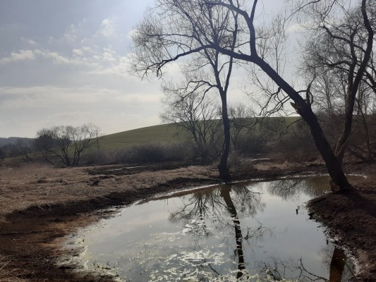 Soustavy tůní v okolí Bystřice