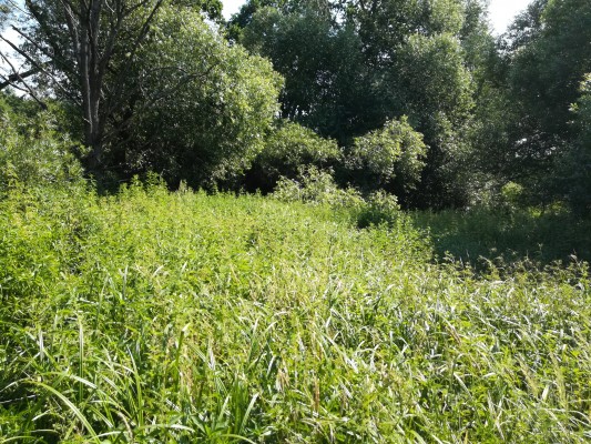 Soustavy tůní v okolí Bystřice