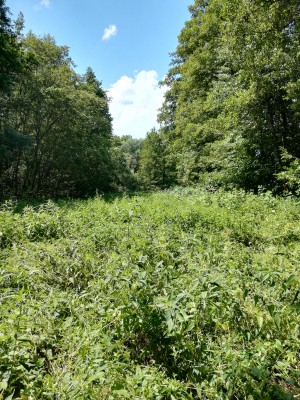 Soustavy tůní v okolí Bystřice